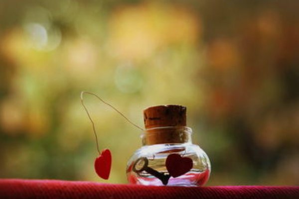 蚂蚁是如何搬家的？