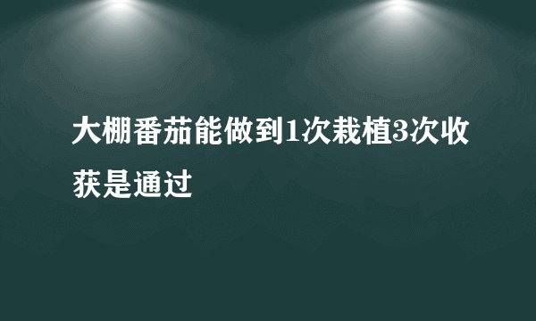 大棚番茄能做到1次栽植3次收获是通过