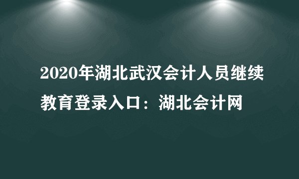 2020年湖北武汉会计人员继续教育登录入口：湖北会计网