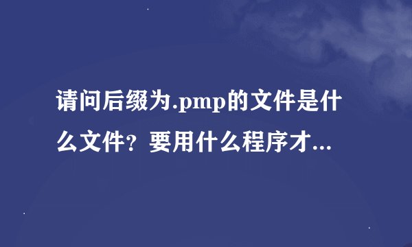 请问后缀为.pmp的文件是什么文件？要用什么程序才能打开呢？