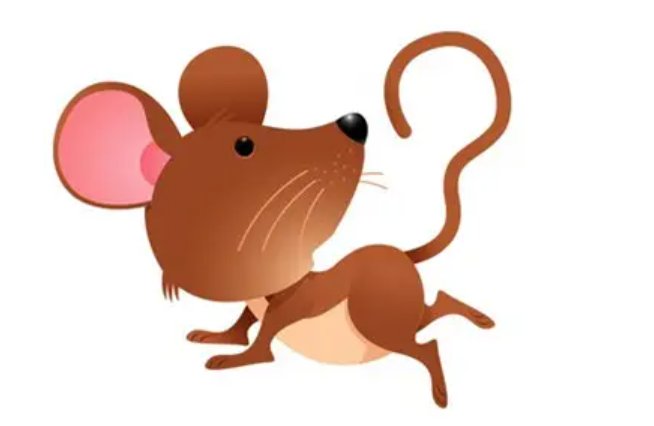 入土为安是什么生肖