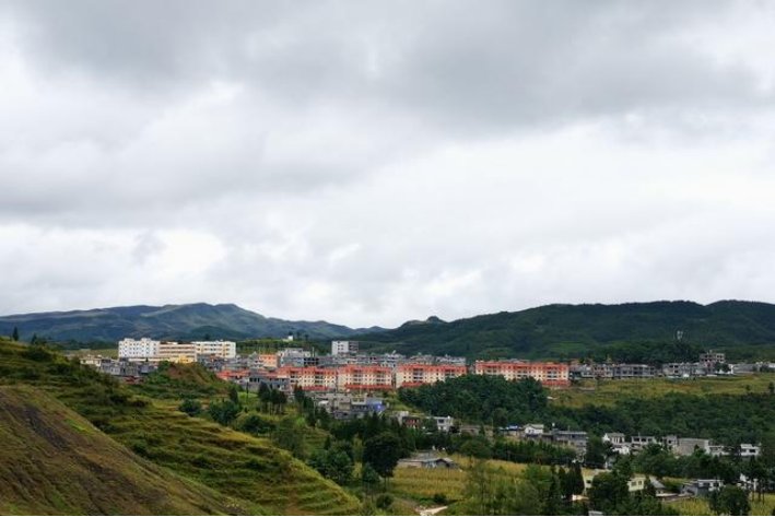 赫章县教育局电话号码是多少