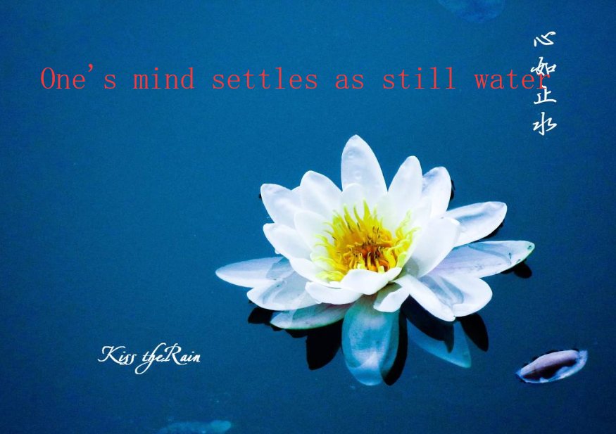 心如止水用英文怎么表达
