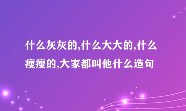 什么灰灰的,什么大大的,什么瘦瘦的,大家都叫他什么造句