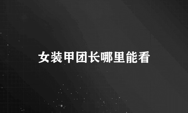 女装甲团长哪里能看