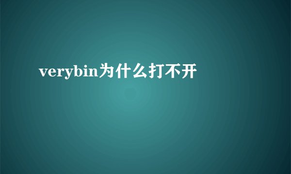 verybin为什么打不开