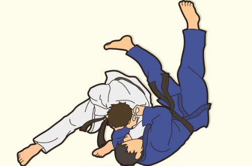 柔道的判定规则