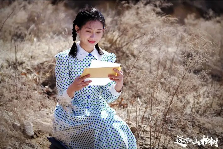 《远方的山楂树》每个人的结局是什么?