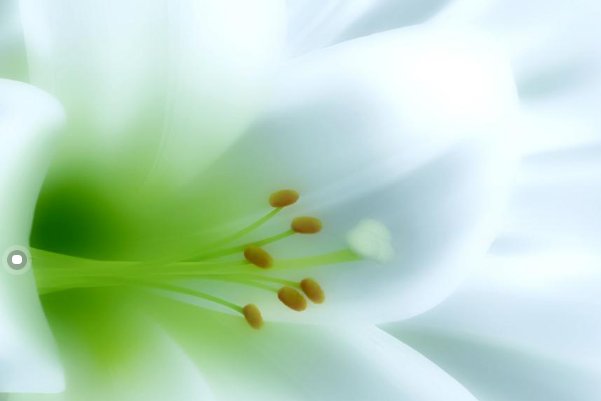 污涩是什么意思?