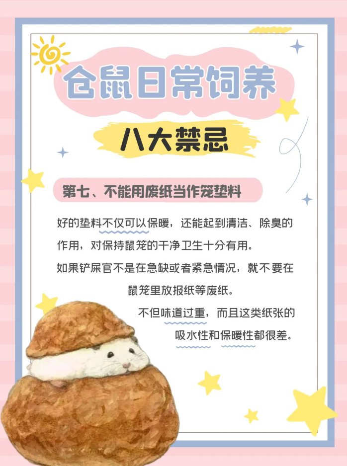 仓鼠饲养八大禁忌,新手必看