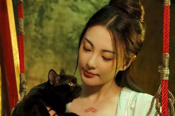 必看的国产特效大片