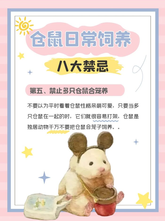 仓鼠饲养八大禁忌,新手必看