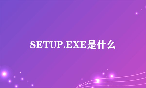 SETUP.EXE是什么