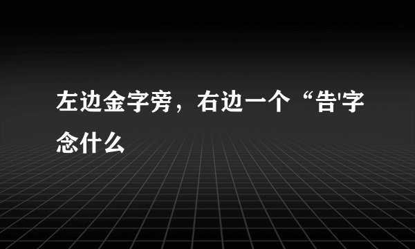 左边金字旁，右边一个“告'字念什么