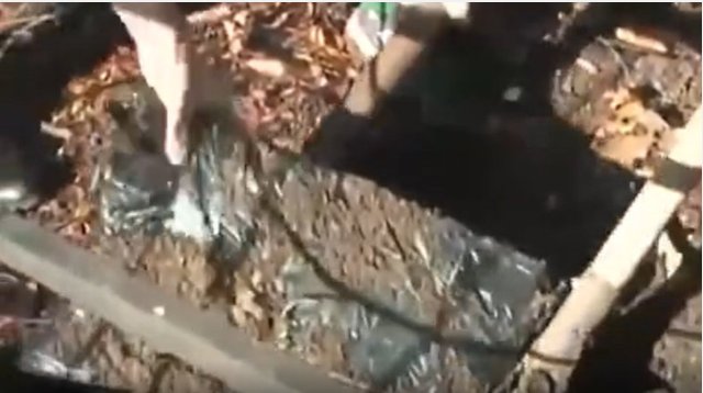 俄罗斯某处墓地挖出5000万卢布神秘巨款,警方对此有何回应?