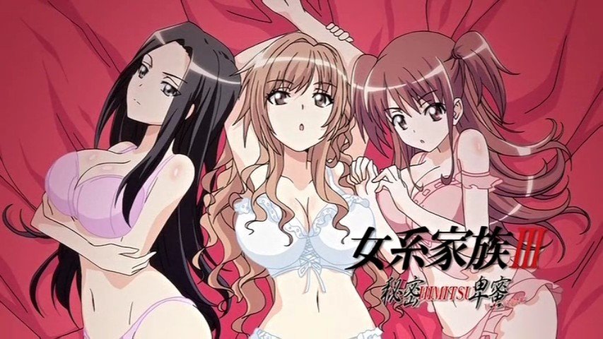 女系家族Ⅲ～秘密HIMITSU卑密～的基本资料