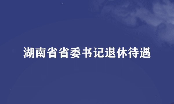 湖南省省委书记退休待遇