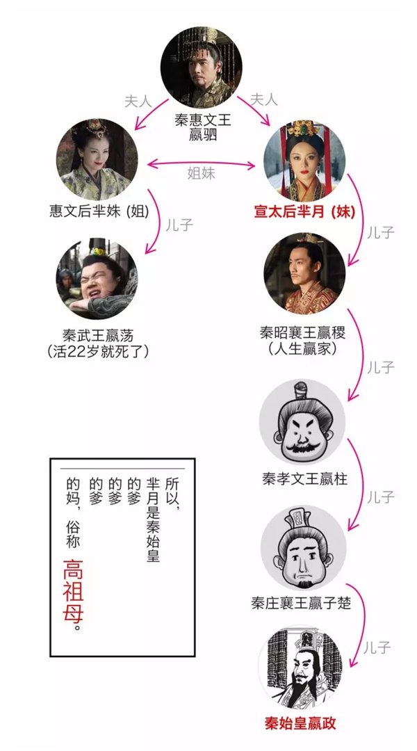 芈月与嬴政啥关系