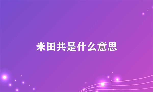 米田共是什么意思