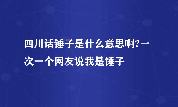 四川话锤子是什么意思啊?一次一个网友说我是锤子