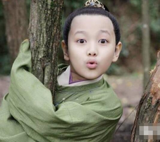 赵吉是赵恒的第几个儿子 他最后怎么样