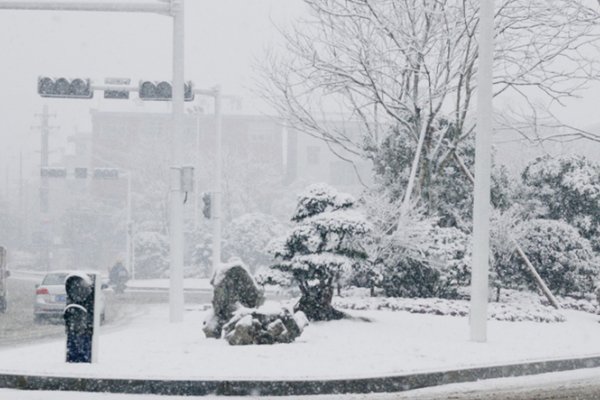 沈阳8日全市学校停课一天,停课的原因是什么?