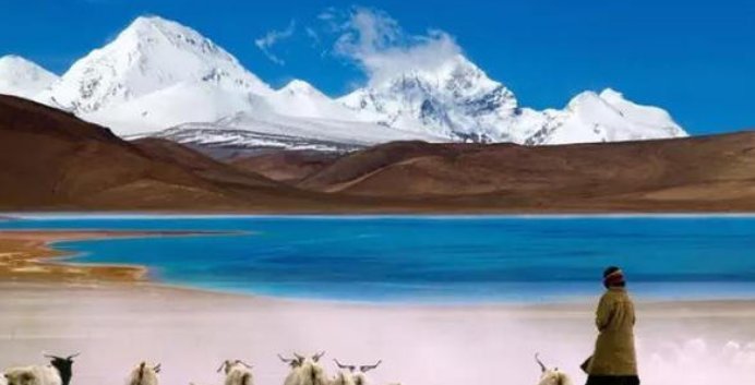 中国没有疫情的省份有哪些?