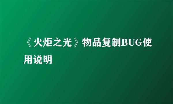 《火炬之光》物品复制BUG使用说明