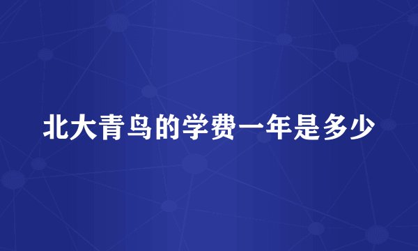 北大青鸟的学费一年是多少