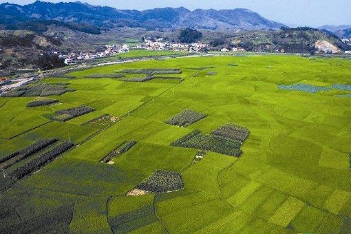 平方公里是什么单位