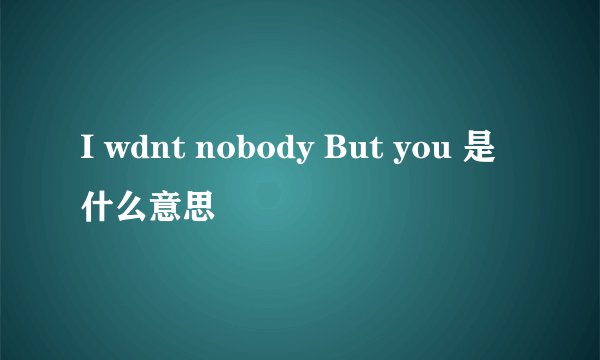 I wdnt nobody But you 是什么意思