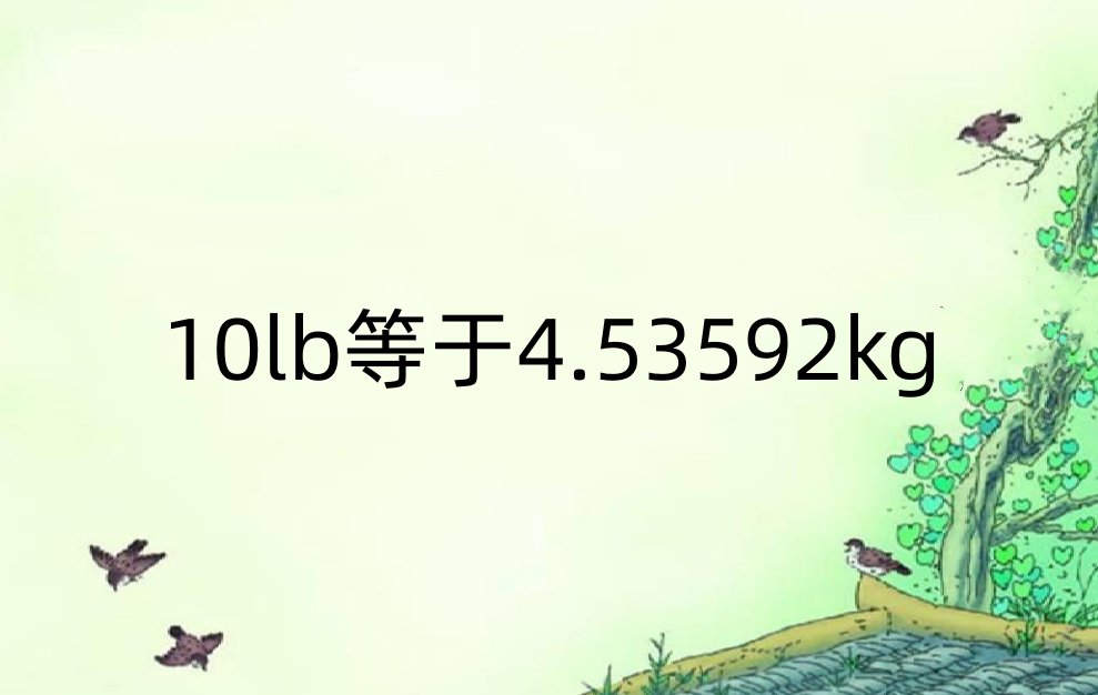 10lb等于多少kg