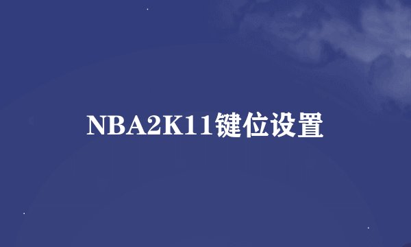 NBA2K11键位设置