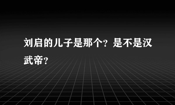 刘启的儿子是那个？是不是汉武帝？