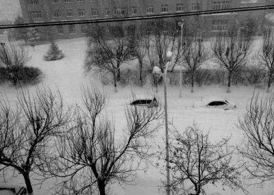 黑龙江连发20个暴雪预警，当地为应对暴雪做出了什么措施？