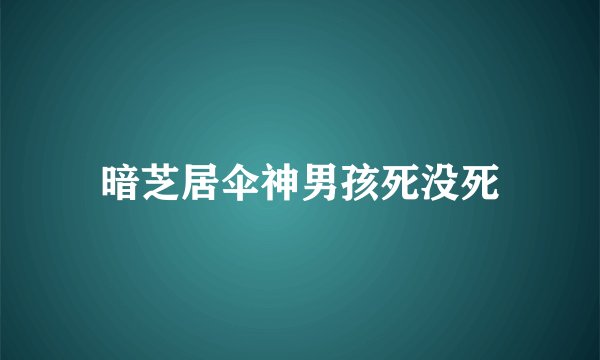 暗芝居伞神男孩死没死