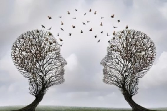 护理本科可以跨考哪些研究生专业?