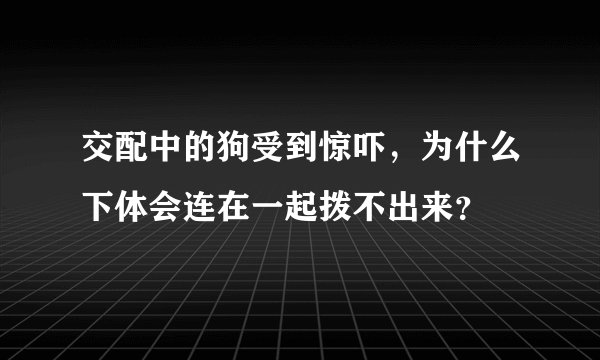 交配中的狗受到惊吓，为什么下体会连在一起拨不出来？