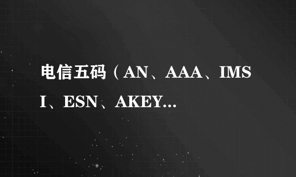 电信五码（AN、AAA、IMSI、ESN、AKEY） 是什么意思 在一般的电信营业可以办理吗？