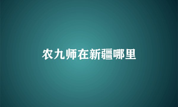 农九师在新疆哪里
