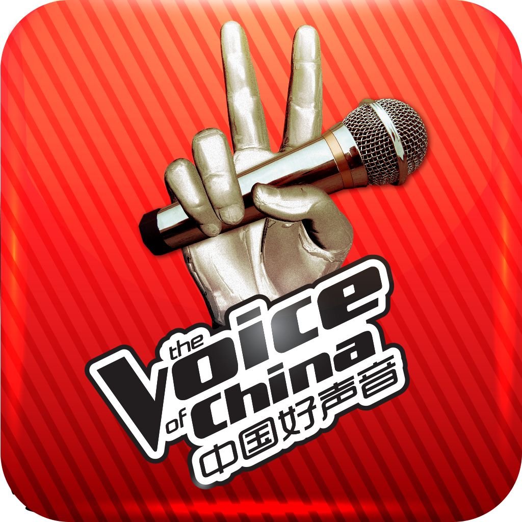 《中国好声音》是一个什么类型的节目?