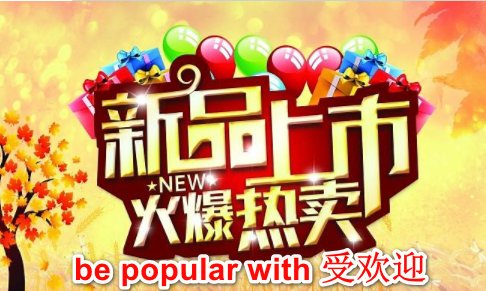 be popular with是什么意思