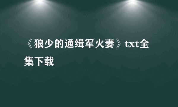 《狼少的通缉军火妻》txt全集下载