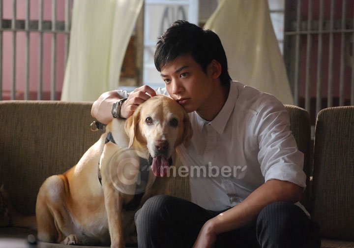 伤痕我心男主角是谁