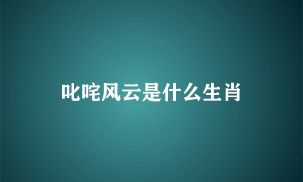 叱咤风云是什么生肖