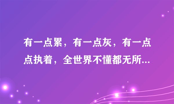 有一点累，有一点灰，有一点点执着，全世界不懂都无所谓，或许对错也无所谓！这句话什么意思？