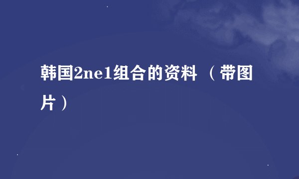 韩国2ne1组合的资料 （带图片）
