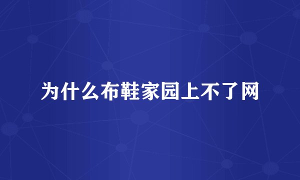 为什么布鞋家园上不了网