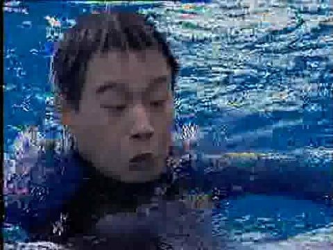 海洋馆的约会的介绍