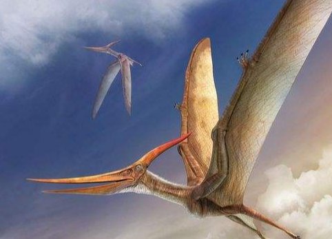 钻冰求火一生肖